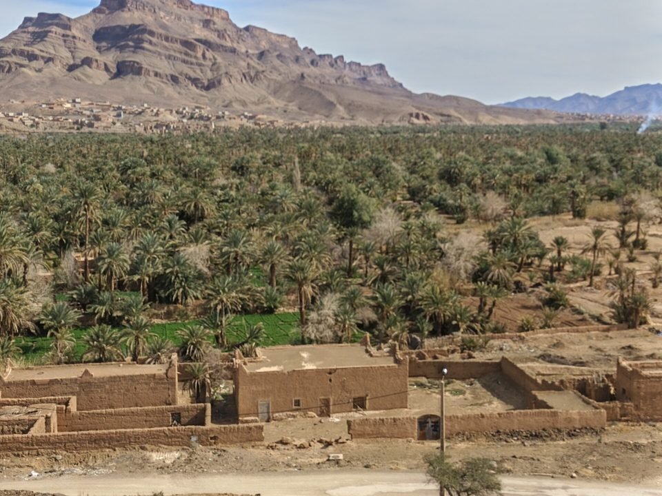 The Agdz palm grove below Jebel Kissane in the Drâa valley, with earthen buildings in the foreground