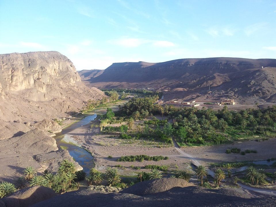 The Fint oasis seen from above: a river and palm trees between rocky hills